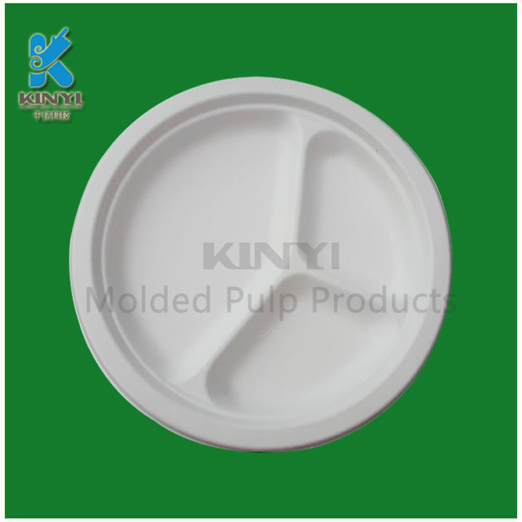 Custom disposable biodegradable bagasse pulp food packing tray