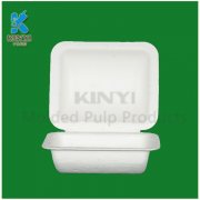 Bagasse pulp molded paper packaging box