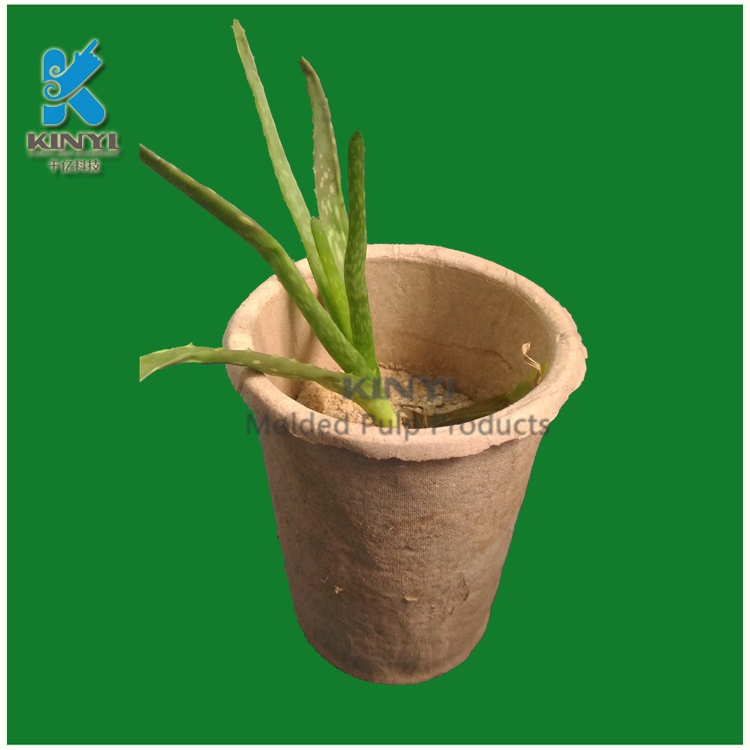 biodegradable pots