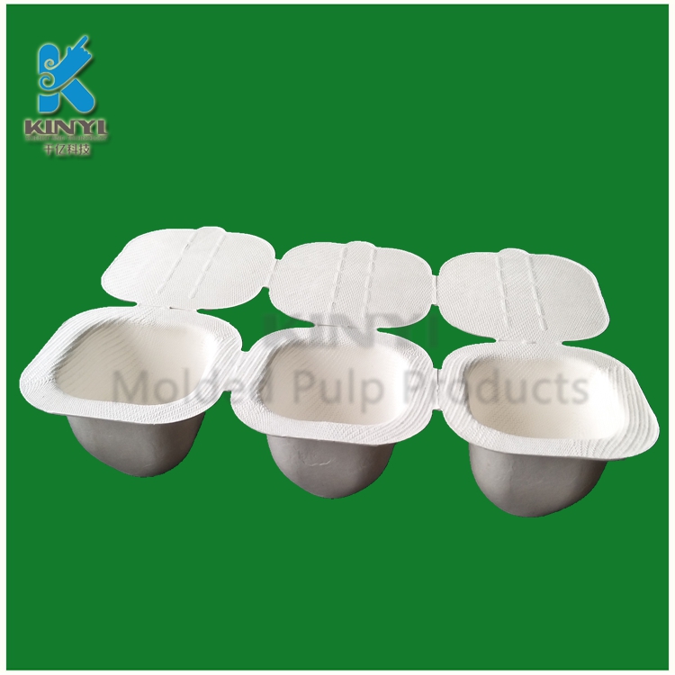 Biodegradable Packaging Molded Pulp Disposable Tray with Lid